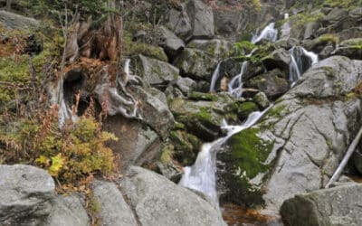 Údolí Štolpichu inspirovalo skladatele Webera k opeře Čarostřelec