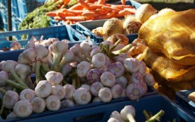 Farmářské trhy v Lázních Libverda