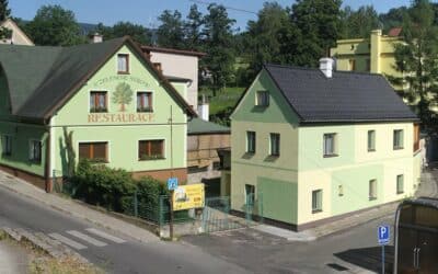 U Zeleného stromu hledají kolegu do týmu