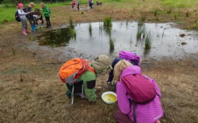 Kraj podpoří projekty v oblasti ochrany přírody, ekologické výchovy a prevence vzniku odpadů
