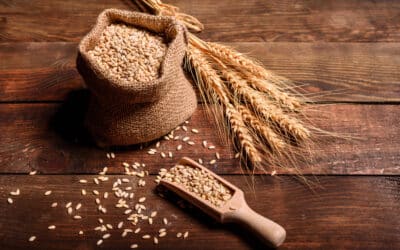 Krajské dožínky zavítají na začátku září do Frýdlantu