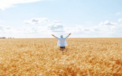 Výstraha: Frýdlantsko mohou zasáhnout silné bouřky 14 Frýdlant hostí v sobotu Krajské dožínky Libereckého kraje