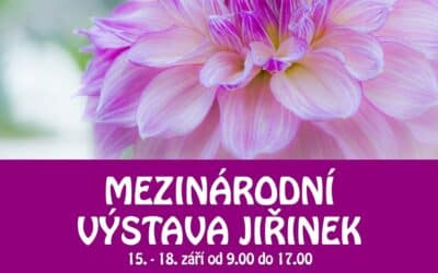 Akce na Frýdlantsku 10 Mezinárodní výstava jiřinek 2022