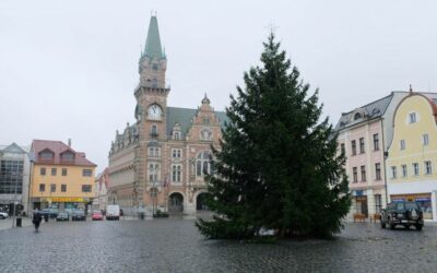 Frýdlant hledá vánoční strom roku 2022