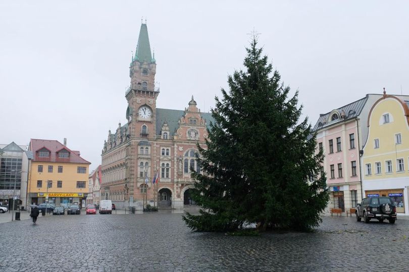 Frýdlant hledá vánoční strom roku 2022