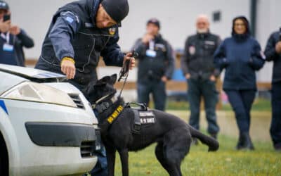 CiS Systems, s.r.o. přijme do svého týmu Technika vzorkování 12 Mezinárodní kynologická konference v Heřmanicích