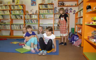 Kraj ocenil nejlepší knihovny. Radovat se mohou v Okrouhlé, Jílovém u Držkova, Višňové a Studenci