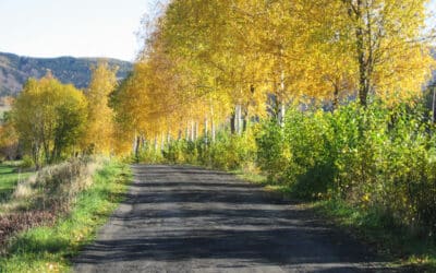 Kraj daruje obcím a městům pozemky. Podpoří tak jejich rozvoj a bezpečí obyvatel
