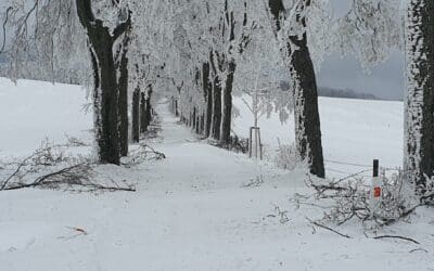 CiS Systems, s.r.o. přijme do svého týmu Technika vzorkování 11 Alej v Albrechticích ve směru na Vítkov je uzavřená