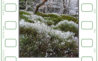 Akce na Frýdlantsku 1 63. členská výstava Jizerského fotoklubu Hejnice