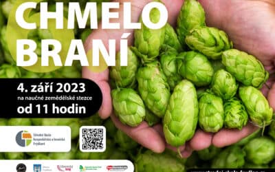 Akce na Frýdlantsku 3 6. ročník Chmelobraní ve Frýdlantu