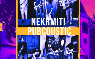 Akce na Frýdlantsku 6 Závěrečný dvojkoncert II. hudebního léta v zahradě