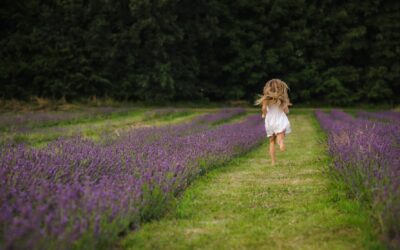 Otevírání levandulové sezóny v Levandulovně