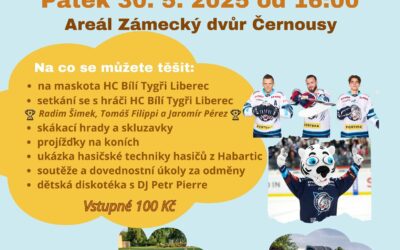 Dětský den / Zámecký dvůr Černousy