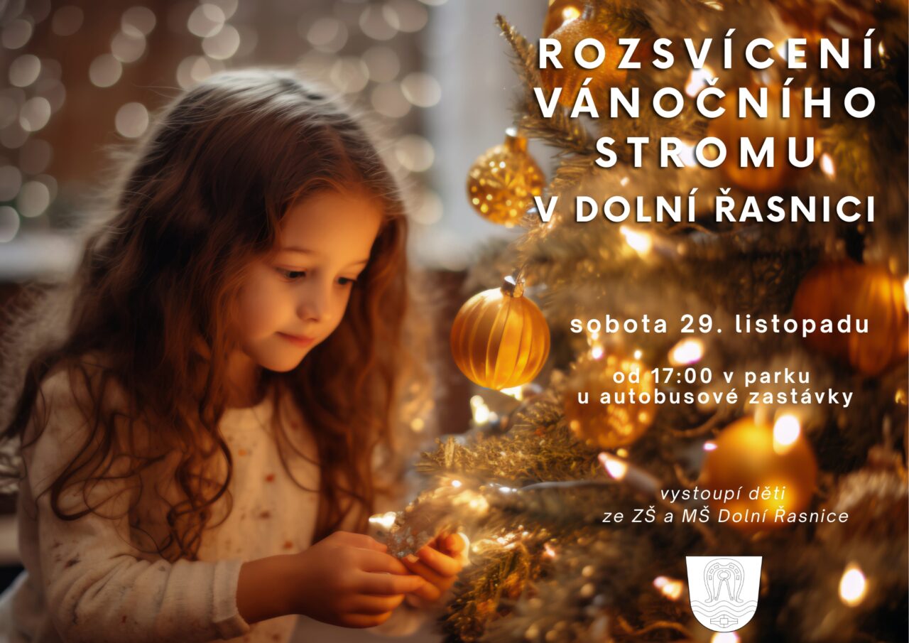 rozsveceni vanocniho stromu dolni rasnice freedlantsko 2025