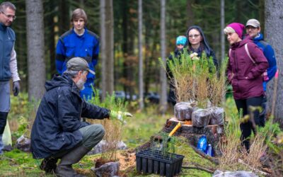 Višňovská drbna znovu mezi nejlepšími v kraji. V soutěži Radniční listy roku 2025 získala 2. místo 8 3,75 milionu pro přírodu. Nadace Ivana Dejmala pomáhala nejen v Jizerkách