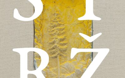 Galerie, muzea, výstavní síně, kulturní a historické památky 57 STRŽ (VÝSTAVA FILIPA DVOŘÁKA)