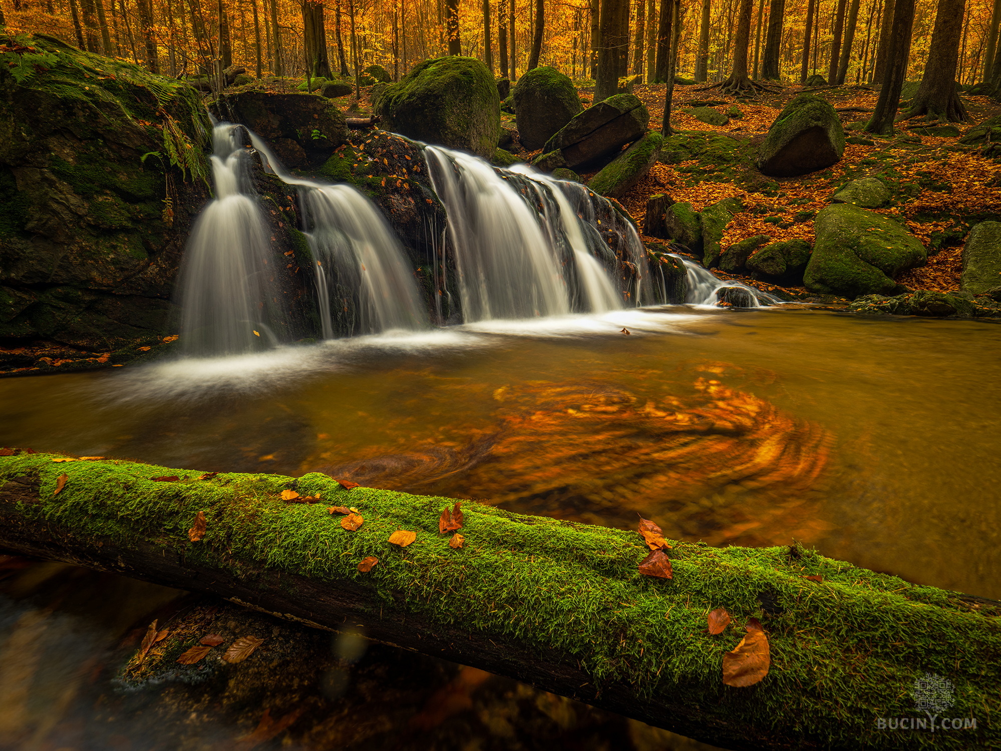 00107 jizerskohorske buciny com tomas exner PB061841